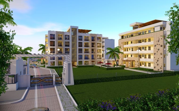 Mzizi_at_Vipingo.jpg